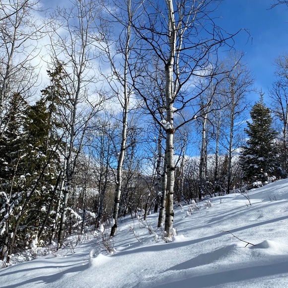 Meet your Posher, Joy - Picture 1 of 1